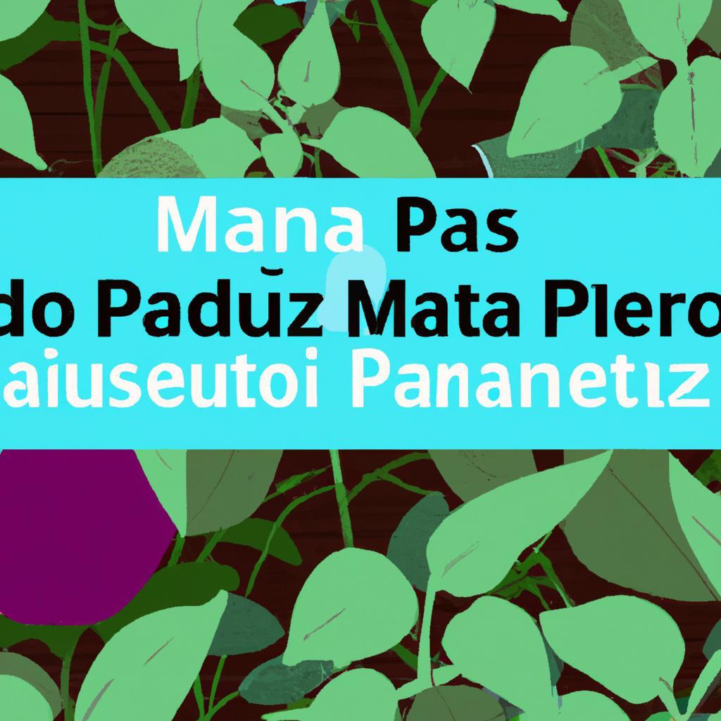 Plantas e Mercado de Produtos Sustentáveis