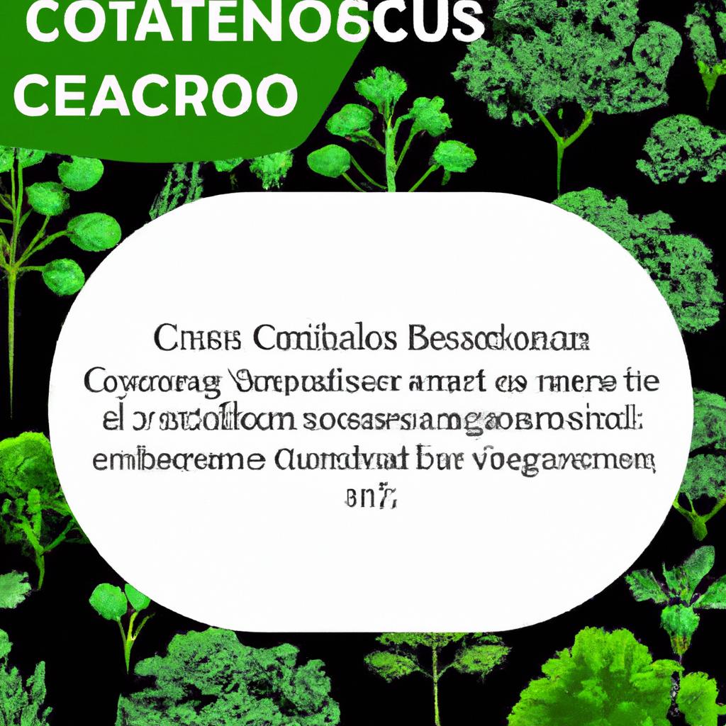 Recomendações para Promover o Sequestro de Carbono através de Vegetação